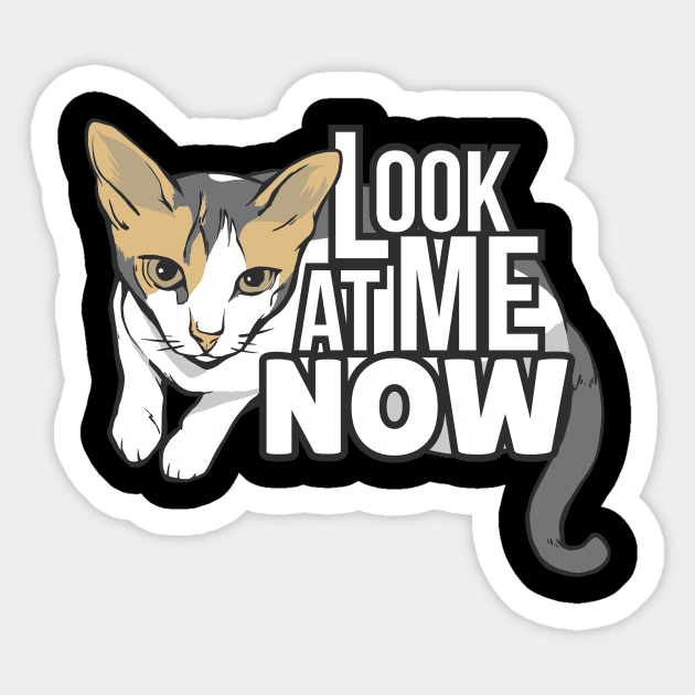 Look at me now - funny cat design Sticker by LR_Collections